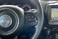 2020 Jeep Renegade Altitude